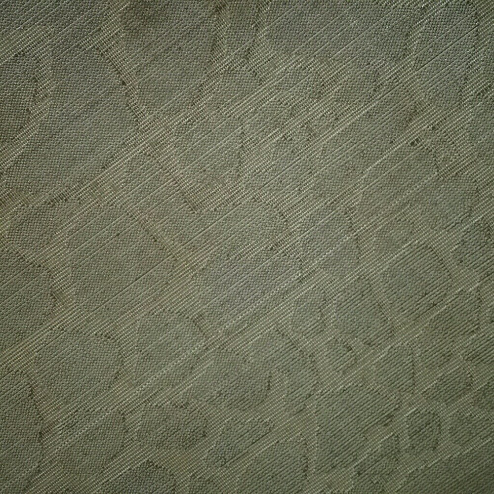 2 × 4 Giraffe Print Rug - Picture 2 of 5
